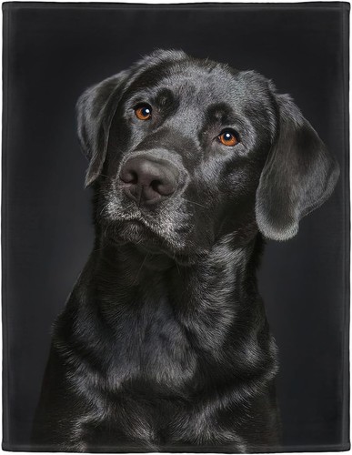 Black lab blanket gorgeous - black,