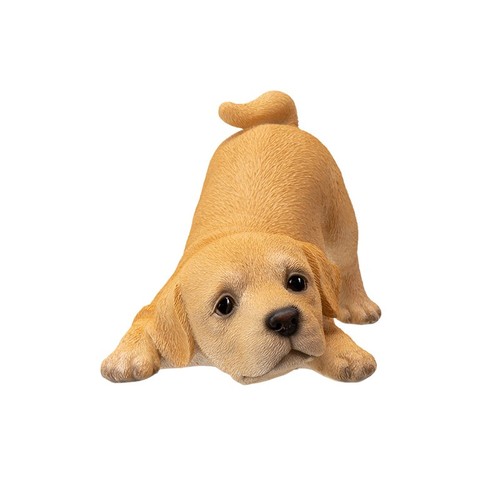 Labrador puppy inch - labrador,