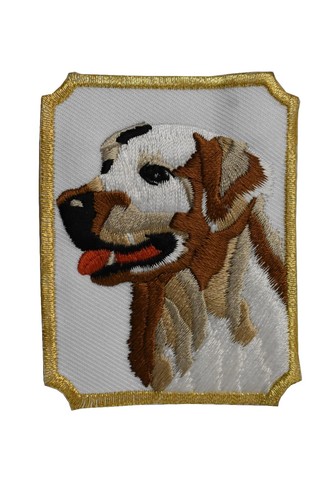 3007 labrador retriever - labrador,