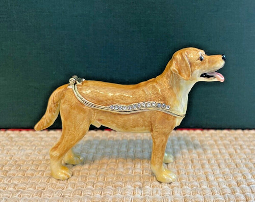 Yellow labrador dog - labrador,