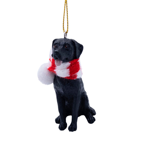 Black labrador puppy - puppy, with