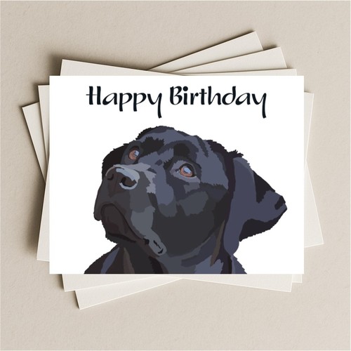 Black labrador dog - black,