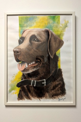 Original chocolate labrador - original,