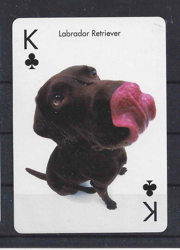One single dog optical art - dog,