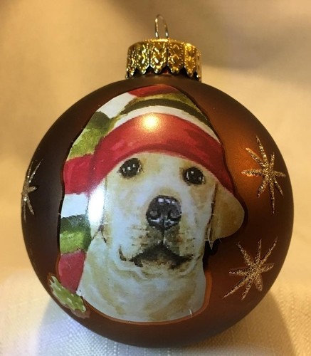 Yellow lab labrador retriever - lab,
