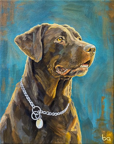 Labrador retriever original - labrador,