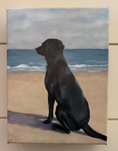 Black labrador original oil - black,