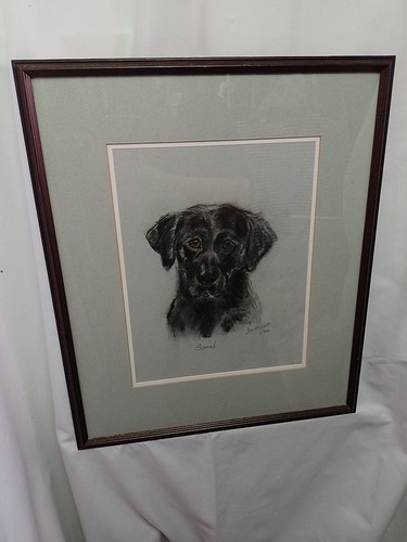 Black labrador original - black,