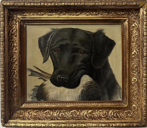 Antique labrador dog - antique,