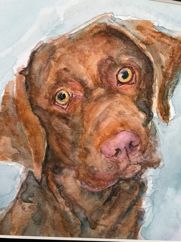 Original watercolour painting - watercolour,