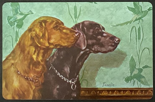 Labrador retrievers dogs - dogs, by