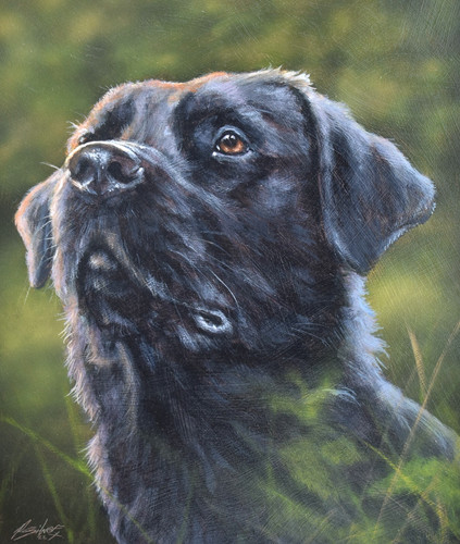 John silver original acrylic - john,