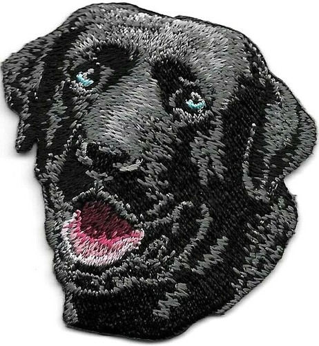 Blue eye black labrador - 1/8",