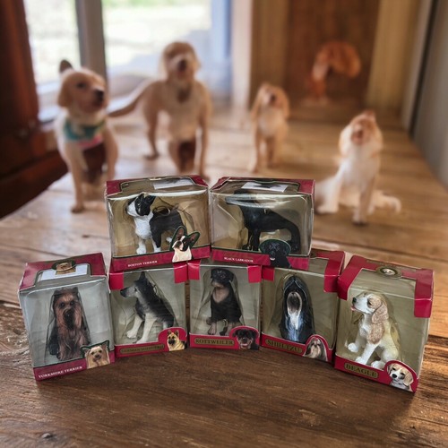 American canine association - american,