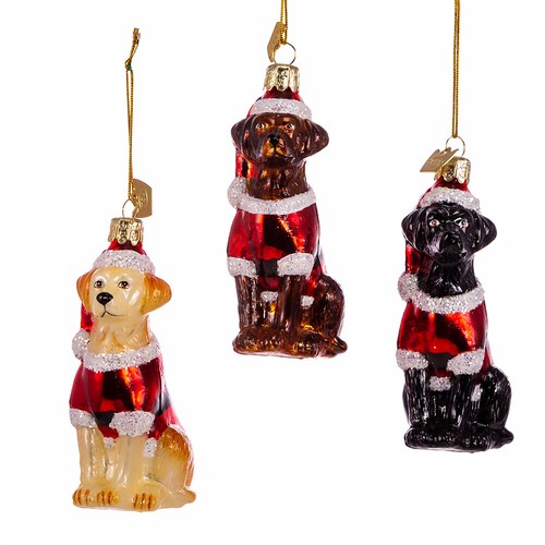 Labrador retriever noble gems - retriever,