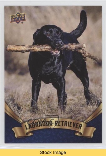 2018 upper deck canine - 2018,