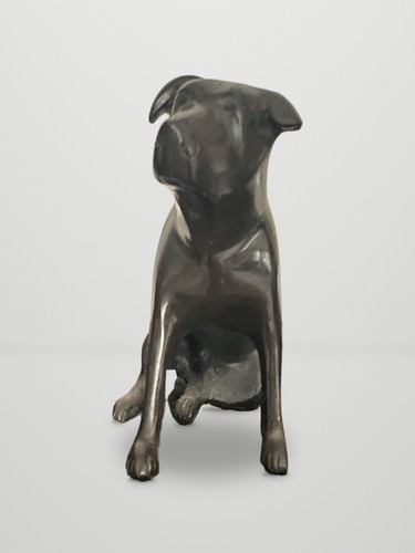 Seated labrador puppy - puppy, dog