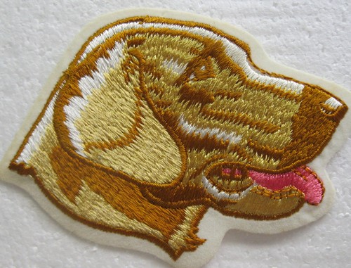 Golden labrador patch - golden,
